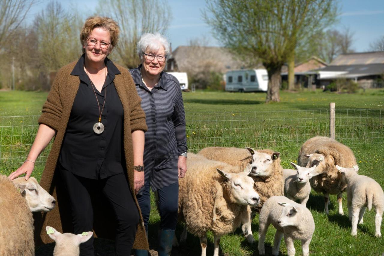 Hoeve De Mertel Biezenmortel Exteriör bild