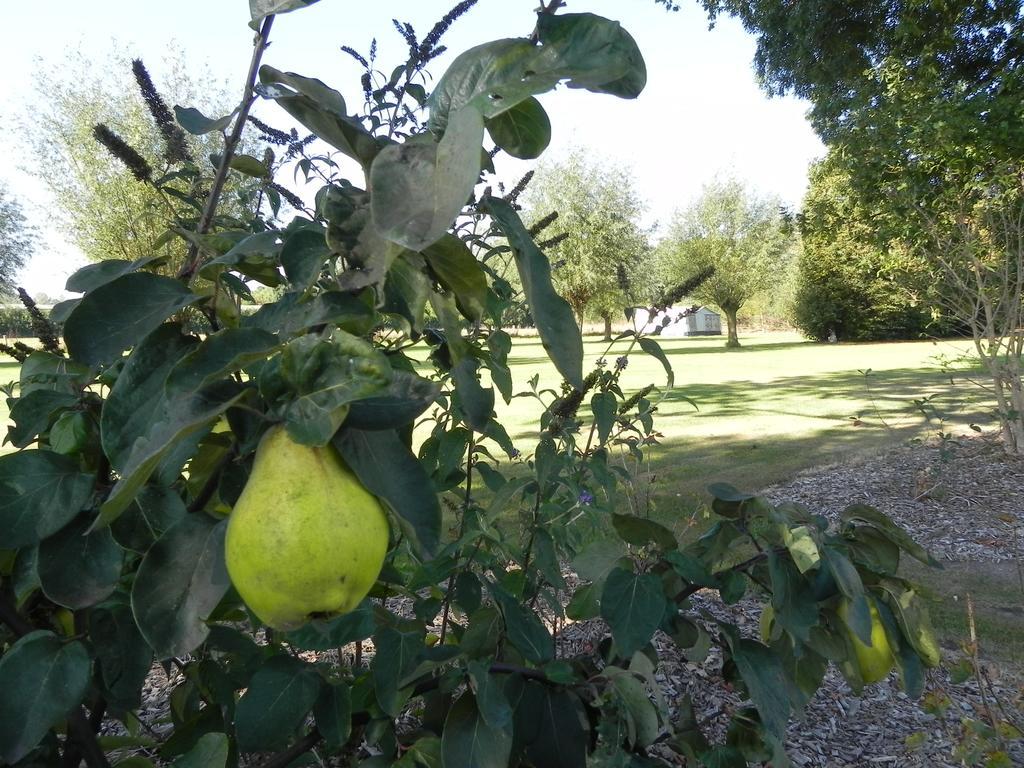 Hoeve De Mertel Biezenmortel Exteriör bild